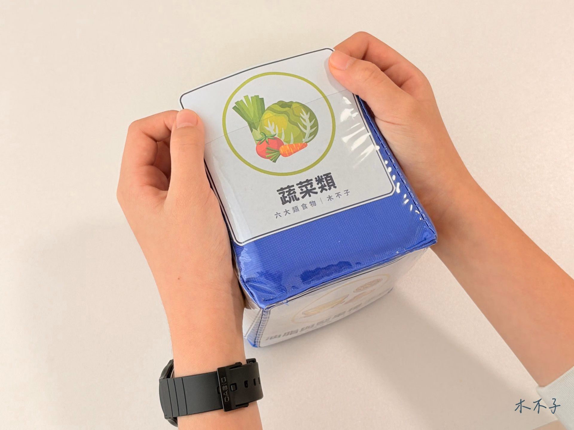 雙手展示六大類食物蔬菜類透明插卡骰子完成品